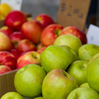 The Complete Guide to Eating Healthy