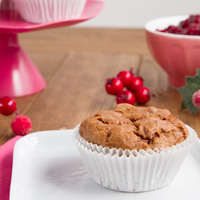 Cranberry Sauce Muffins (Vegan + Grain-free)