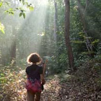 Thumbnail image for Traveling Through India: Jungle, Waterfalls and Temples