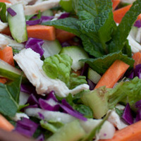 Guest Post with Laurel of Leaves: Lime & Mint Chicken Coleslaw