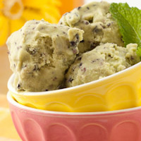 Vegan Peppermint Chocolate Chip Ice Cream