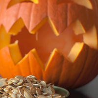 Pumpkin & squash seeds