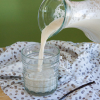 How to Make Sunflower Seed Milk