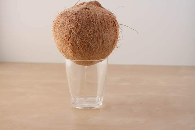 How to Open a Coconut - Step 2