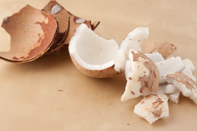 How to Open a Coconut - Step 7