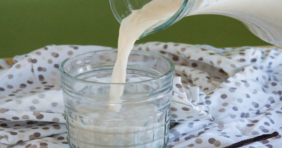 Sunflower Seed Milk Healthful Pursuit