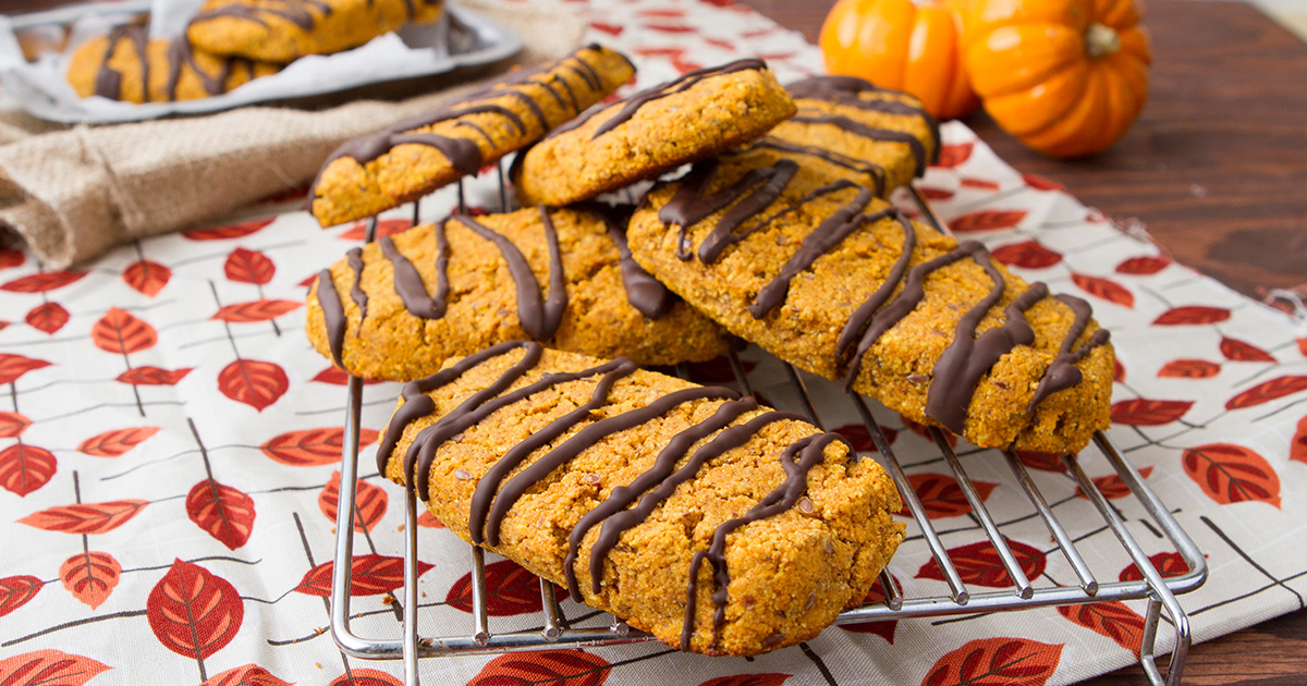Oil-free Chocolate Pumpkin Protein Bars - Healthful Pursuit