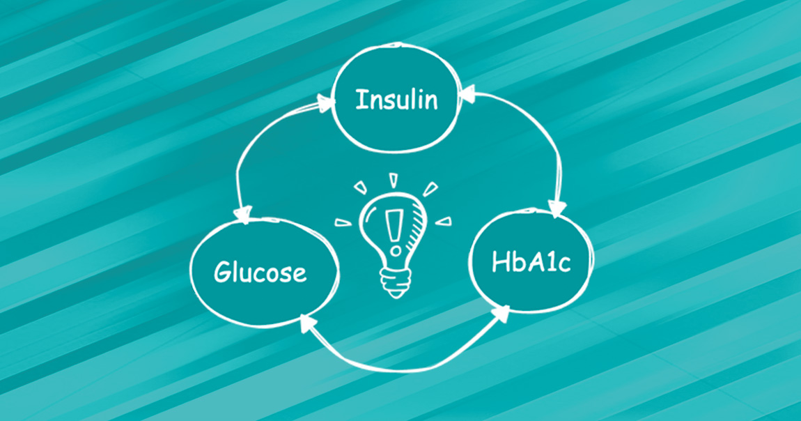 Understanding Blood Work: Insulin, Glucose & HbA1c