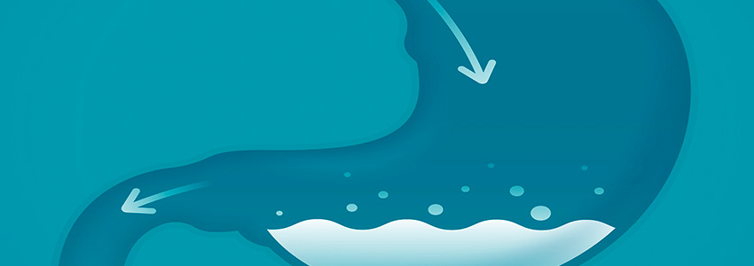 How To Adapt To Ketosis Without The Keto Flu And Digestive Problems