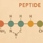 Bioactive Peptides: Molecular Messengers Changing Women’s Health Preview