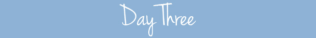 DayTHREEcleanse