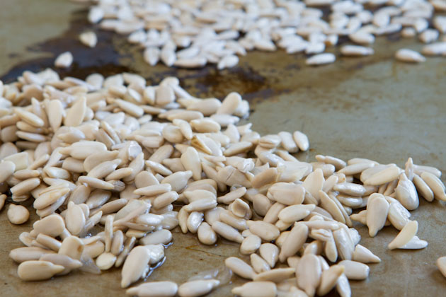 How to Make Milk Sunflower Seed